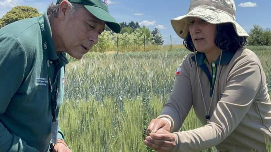 6989ffd0176c6_1200x719