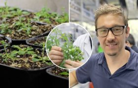 Screenshot2026-02-16at9.53.49A