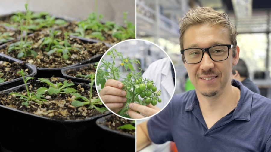 Screenshot2026-02-16at9.53.49A