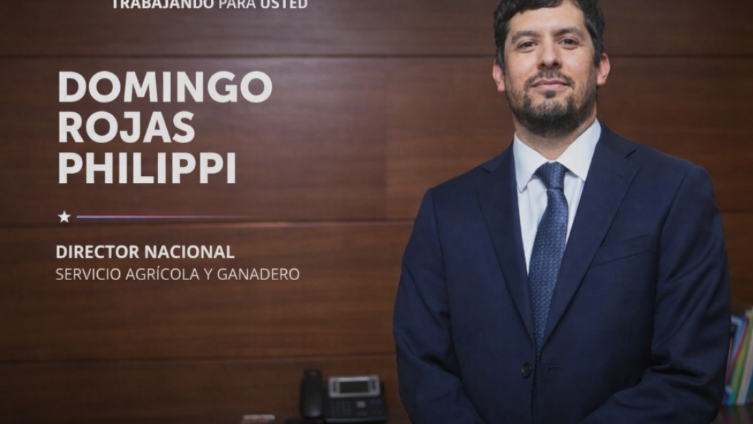 ChatGPT Image 31 mar 2026, 11_07_25