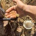 Día Mundial del Agua: Especialista de INIA Rayentué  entrega recomendaciones para riego agrícola