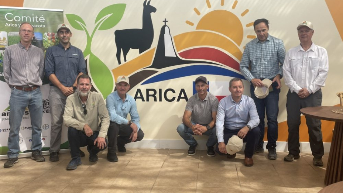 IMG_9716 (Personalizado)