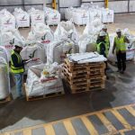 Multiplicación de semillas certificadas: destacan impacto estratégico de la industria en Ñuble