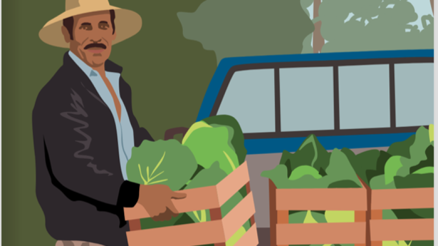 seed practices