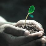 Chile quiere liderar la próxima revolución de las semillas con más genética e innovación