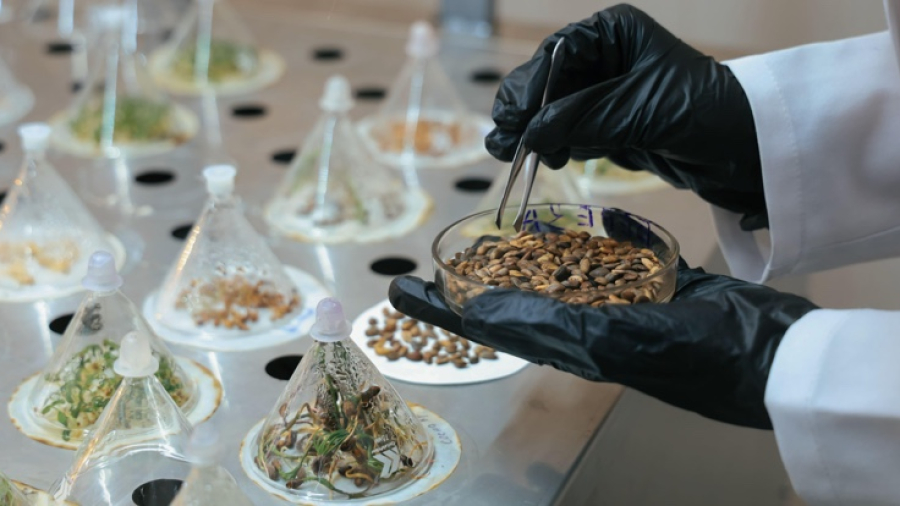 Chile_redefine_su_papel_semillero_hacia_la_innovación_genética_global