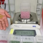 Peletizado: un abrigo de bacterias benéficas para que la alfalfa sobreviva en verano