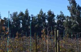 file_20260505092348