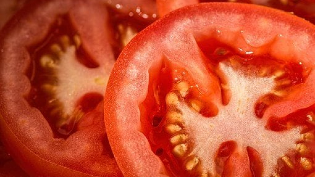 tomato-769999__340