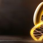 Cómo la biotecnología podría proteger los cultivos de los que dependemos.