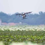 Resumen sobre IA en la agricultura: Aspectos destacados de la producción de cultivos