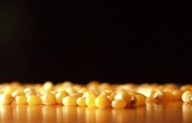 file_20260907125756