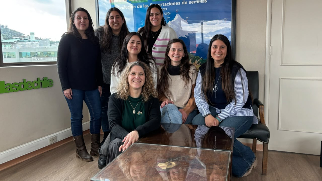 Taller 1 Mentees 4