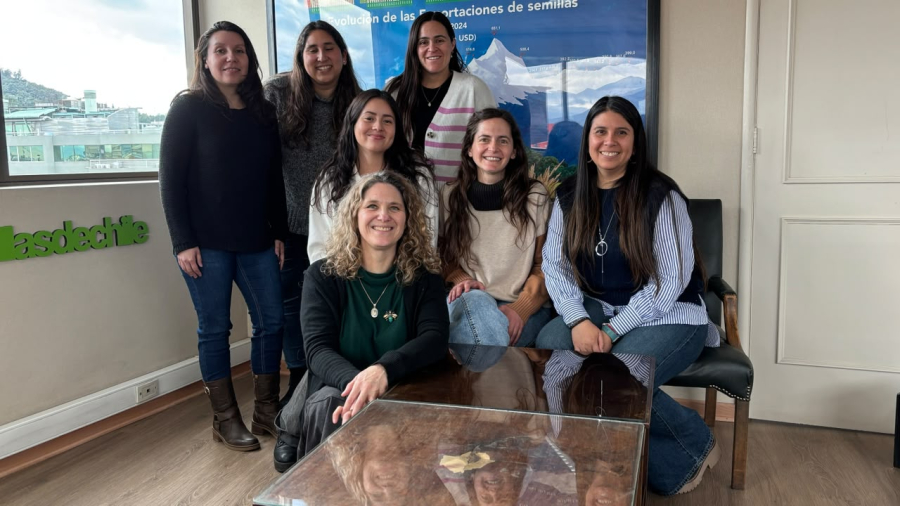 Taller 1 Mentees 4
